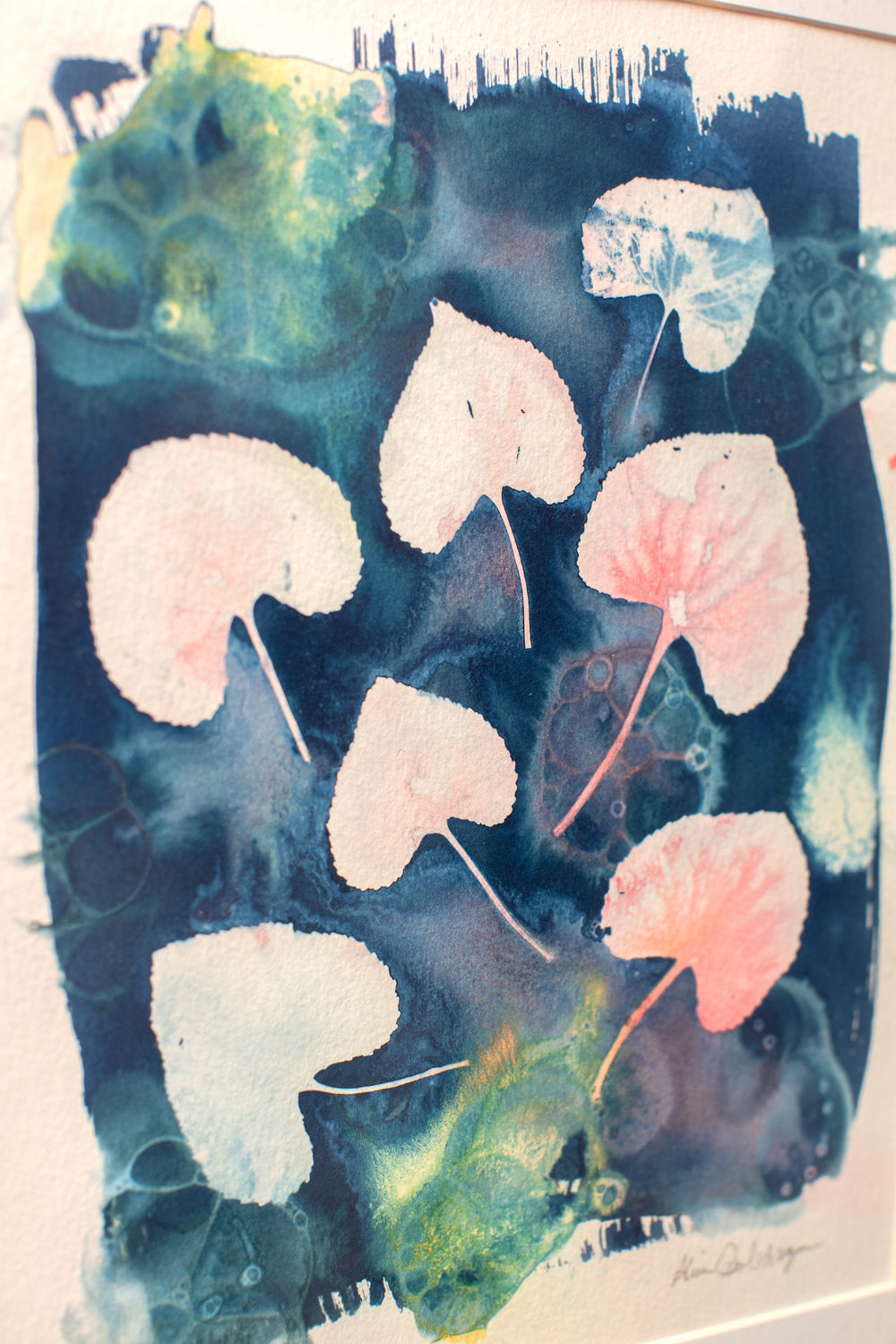 In My Garden Cyanotypes by Alissa Drolshagen